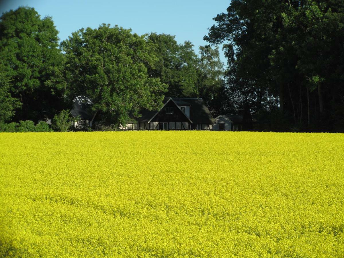 Smedsgården Villa Höganäs Eksteriør bilde